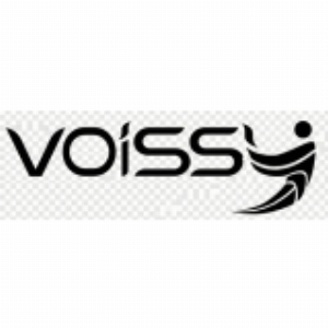 Voissy Panel BG
