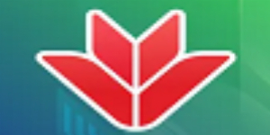 VPBank Neo Mobile - Vietnam