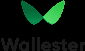 Wallester IT