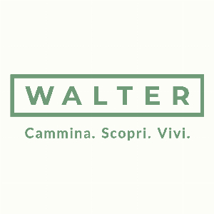 waltercalzature it