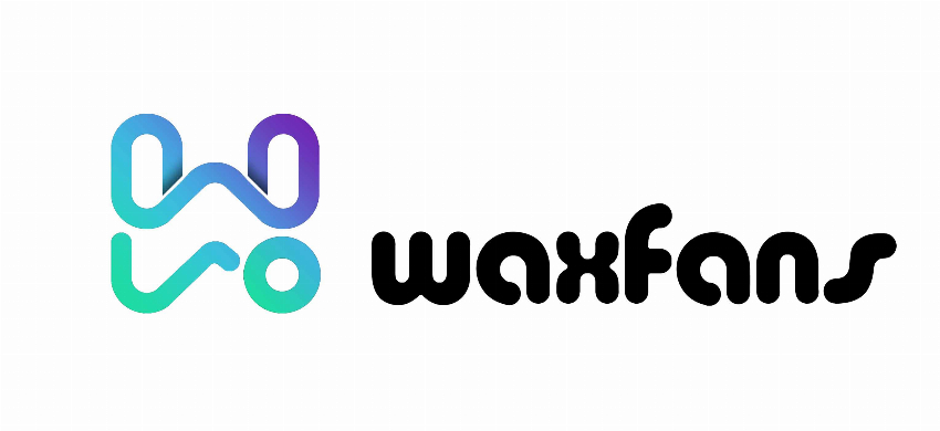 Waxfans Roll On Wax Kit Effortless Hair Removal f