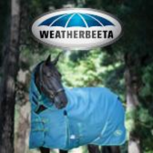 WeatherBeeta
