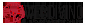 Webdivino