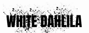 White Dahlila