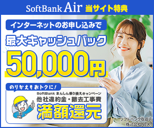 Wi-Fi 30 000 SoftBank Air 18-0419