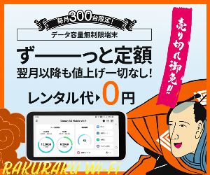 Wi-Fi RakuRaku Wi-Fi 24-1129