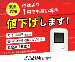 WiFi 20GB 50GB 100GB WiFi 20-0130