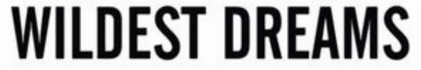 wildestdreamsshop