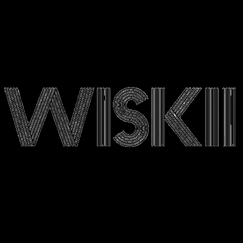 Wiskiiactive