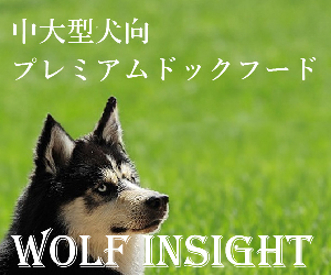 WOLF INSIGHT 24-0226