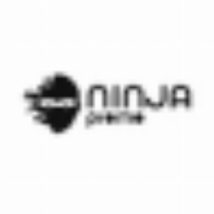 Worldwide Ninja Promo