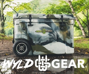 WYLD GEAR 24-0216