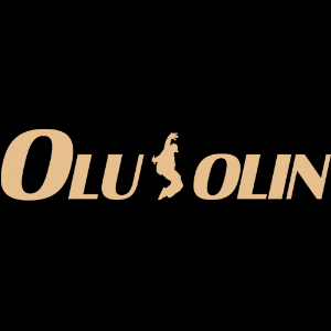 Xiamen Qishunshun Electronic Commerce Co Ltd