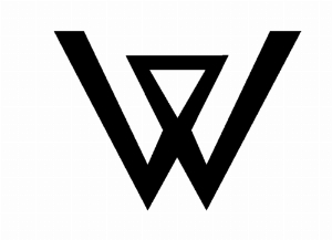 YAN HE ELLIGENT TECHNOLOGY HONGKONG LIMITED