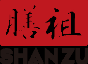 YANZHEN TECH INC