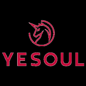 YESOUL TNESS INC