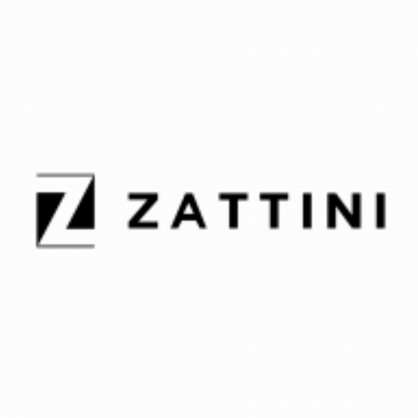Zattini