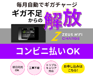 ZEUS WiFi CHARGE 24-0628