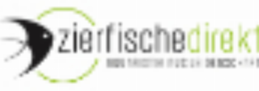Zierfische-Direkt